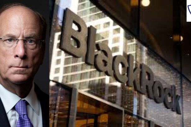 BlackRock CEO Larry Fink