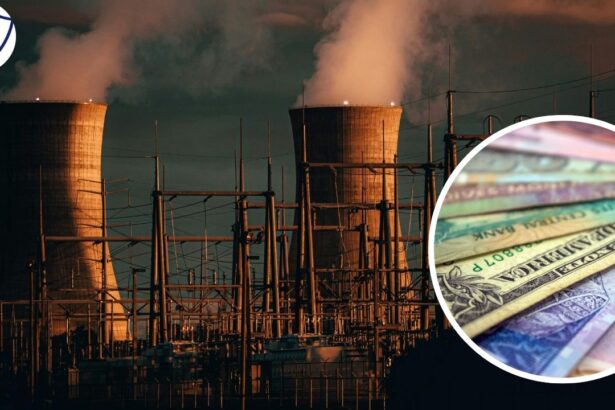 India nuclear energy investment